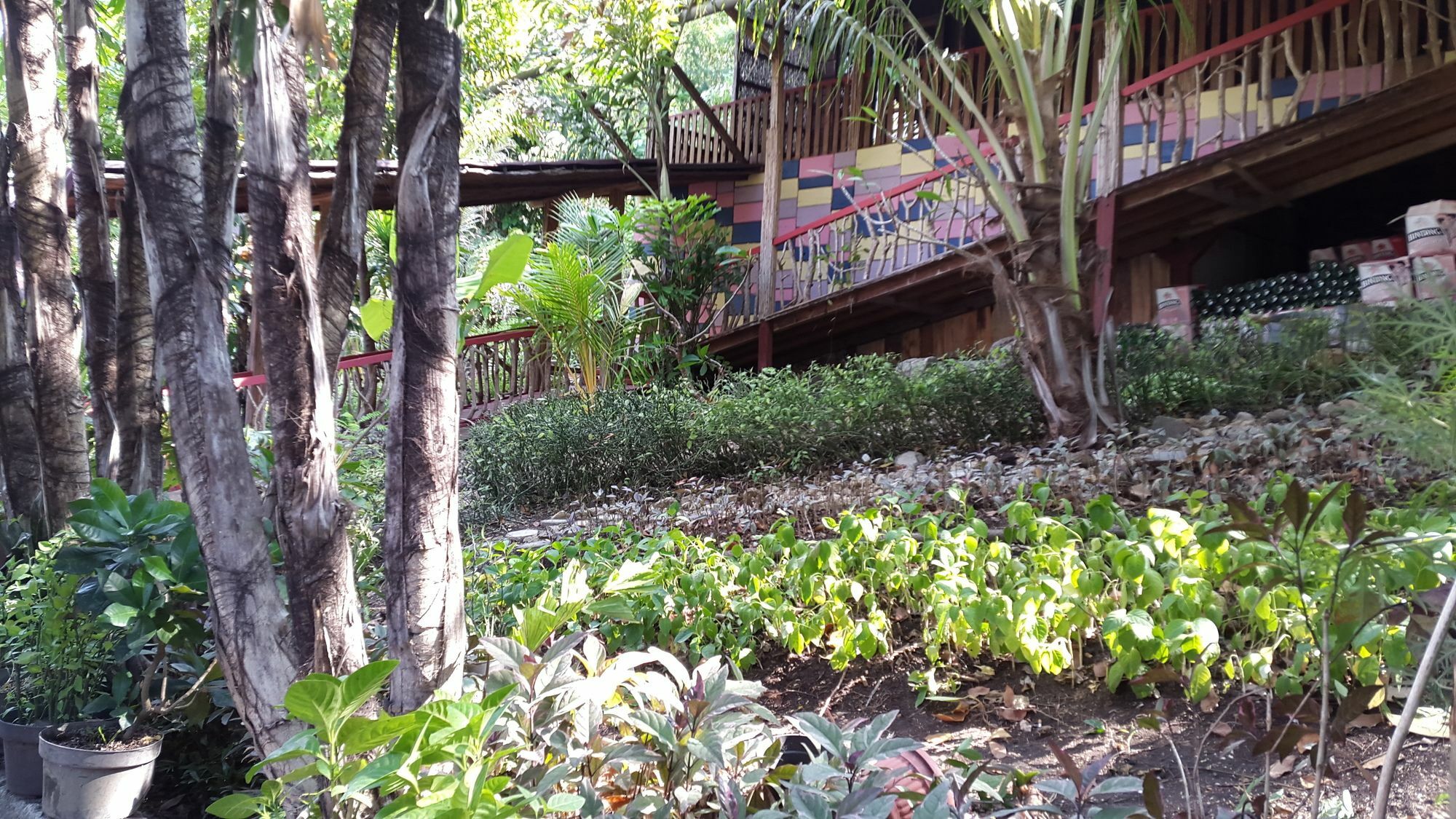 Centro Bajo Hotel & Resto Labuan Bajo Dış mekan fotoğraf